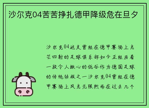 沙尔克04苦苦挣扎德甲降级危在旦夕